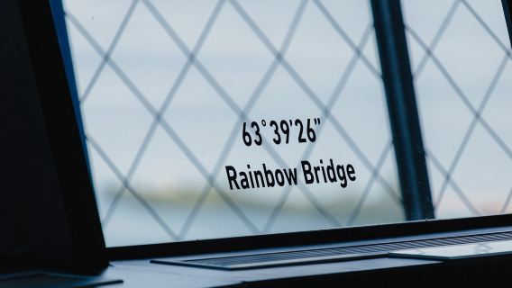 Niagara Falls, Canada: Skylon Tower Observation Deck Ticket