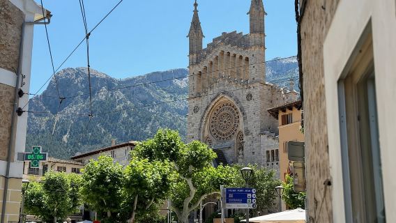Tour panorámico de Tramuntana - Sóller, Deiá, Valldemossa