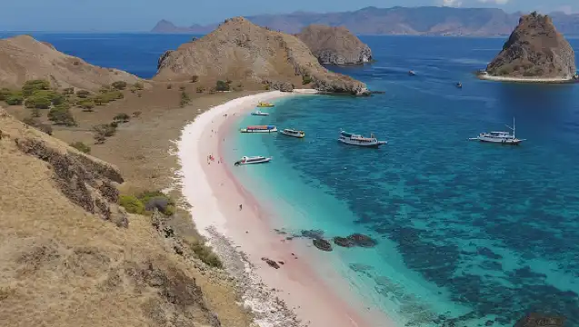 專屬快艇探險：下拉布安出發的私人科莫多島之旅