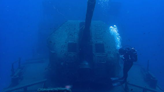 Funchal: buceo avanzado en el naufragio Afonso Cerqueira