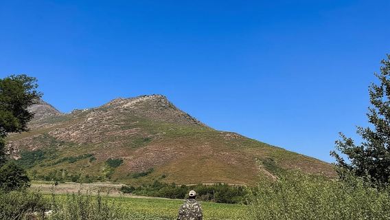 CAPE TOWN: SEGWAY FUN RIDE IN PAARL FREEDOM 301 WITH WILDX