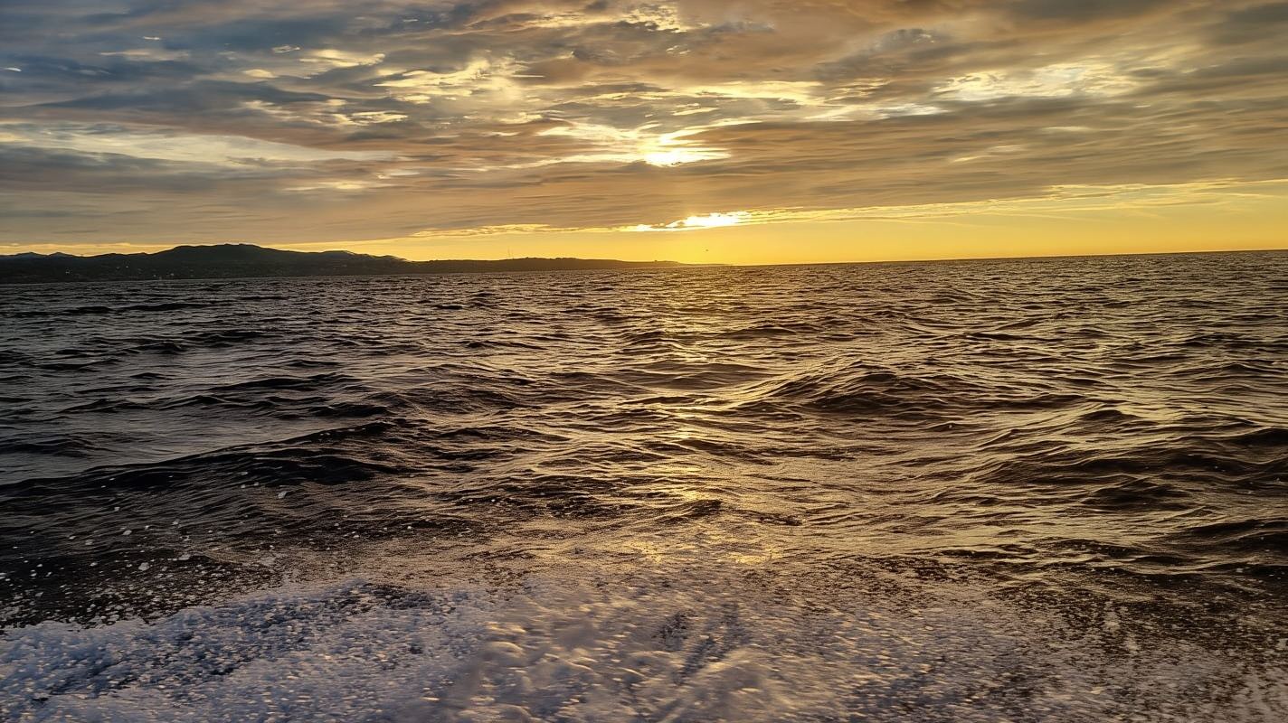 Puerto Escondido: The Best Adventure for Dolphin Watching