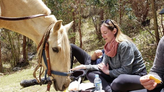 Cusco: halve dag paardrijden bij het Duivelsbalkon