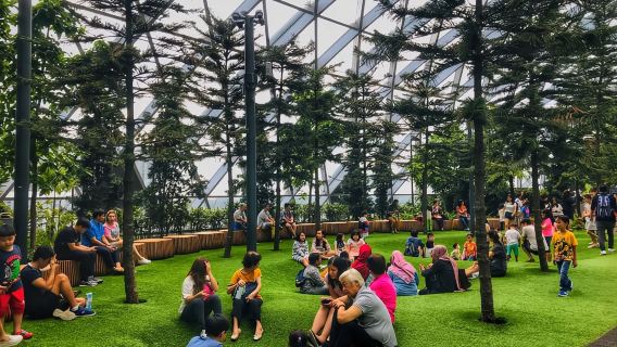 Singapore: Discover Jewel Changi Guided Tour