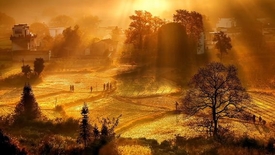 呈坎+塔川+木坑竹海包車一日遊【屯溪/黃山北站上門接】