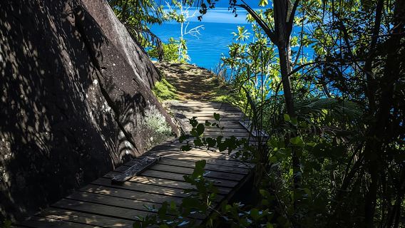 Private Nature Trail Anse Major from Mahé