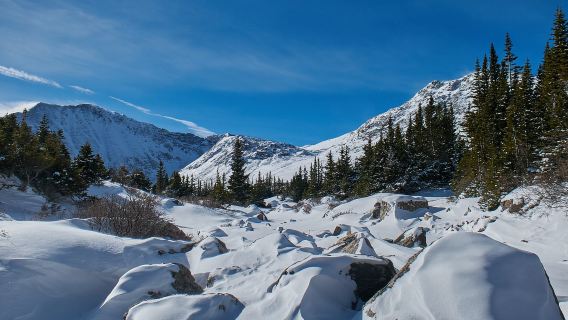美國西雅圖-雷尼爾山國家公園包車遊