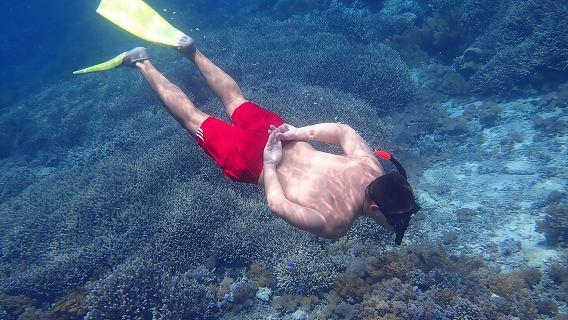 From Lembongan: Snorkeling Day Trip to Nusa Lembongan & nusa Penida island