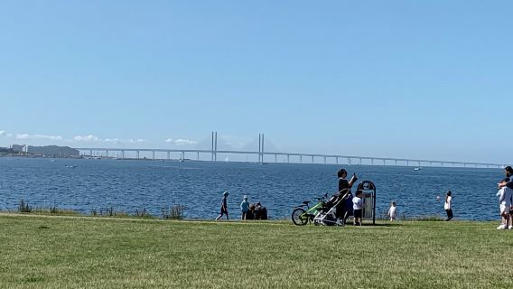 Malmö: 3-Hour Guided Walking Tour