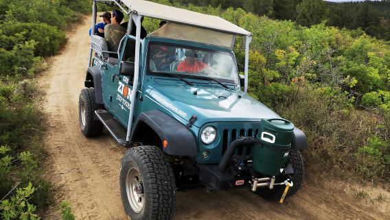 East Zion: 1-Hour East Rim Jeep Tour