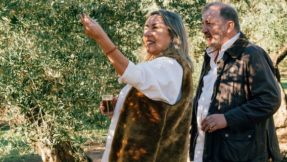 Jaen: Olive oil tour with the 5 senses, grove and tasing