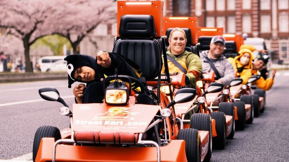 TokyoTours