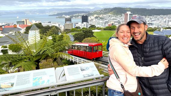 Spectacular Wellington: Half Day Private Sightseeing Tour
