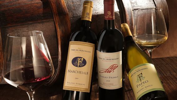 Bolgheri: Classic Wine Tasting with Winery Tour