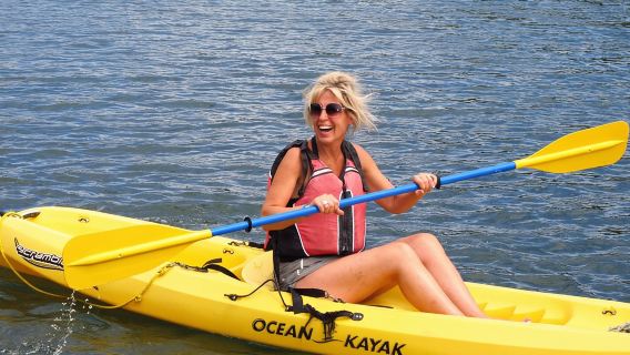 Alquiler de kayak en la laguna de los manglares en St. Thomas