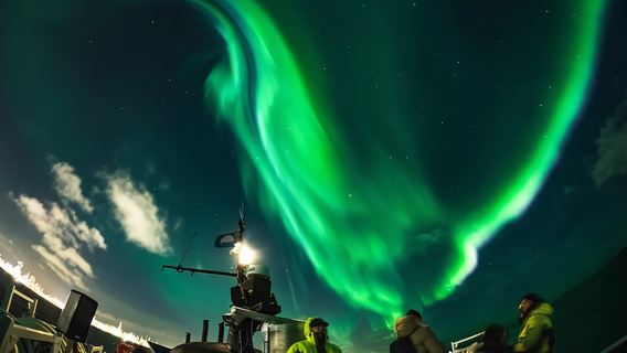kapal pesiar Cahaya Utara Islandia 2 Jam (Perahu Besar Klasik + Dek Observasi 360 Derajat)