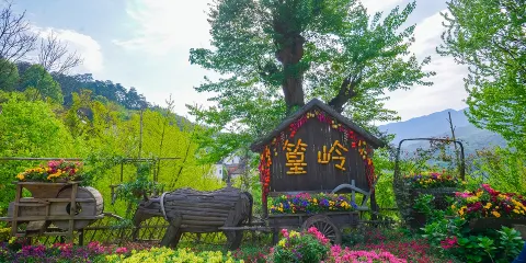 婺源篁嶺半日遊(含索道)【婺源起止】