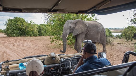 From Livingstone, Victoria Falls or Kasane - Chobe Day Tour