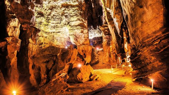 Sterkfontein DMA