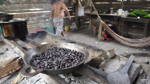Riserva Indigena del Cioccolato e delle Cascate