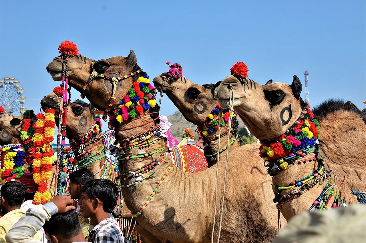 Private One Day Trip to Pushkar from Jaipur 