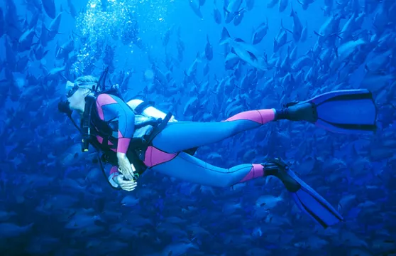 皮皮島潛水體驗(4小時)大小同價