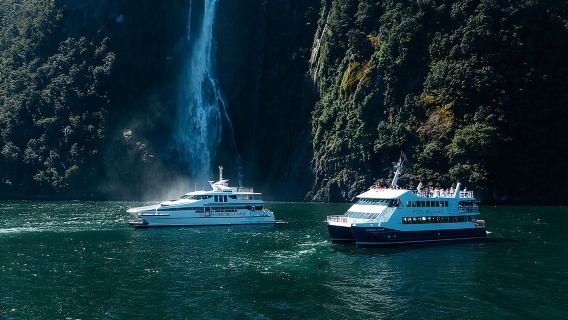 Milford Sound Kreuzfahrt