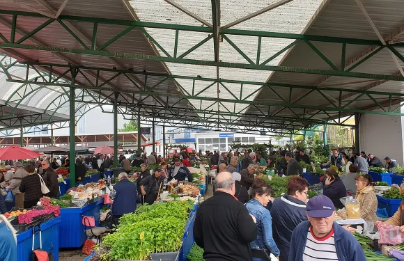 特爾古穆列什3小時步行導覽