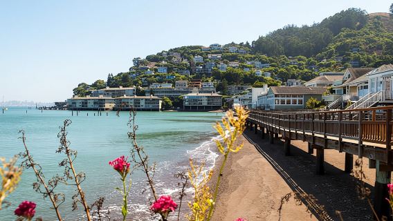 Muir Woods and Sausalito half-day tour