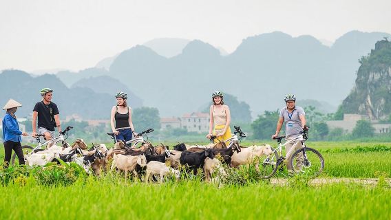 Экскурсия на целый день по Ниньбиню с Хоа Лу, Там Коком и пещерой Муа