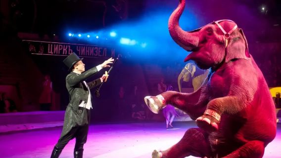 莫斯科精華體驗一日遊【藝術、大自然、城市景觀與娛樂體驗】