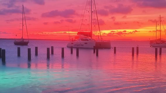 Excursión por la costa: Costas norte y sur de Bonaire