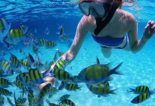 All-Inclusive San Blas Islands Day Tour from Panama City
