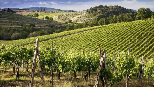 Chianti-wijnmakerijenreis met Toscaanse lunch en San Gimignano