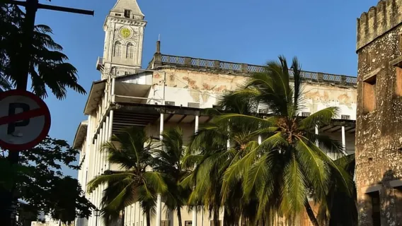 DA NUNGWI/KENDWA: FORESTA DI JOZANI, ISOLA PRIGIONE E CITTÀ DI PIETRA