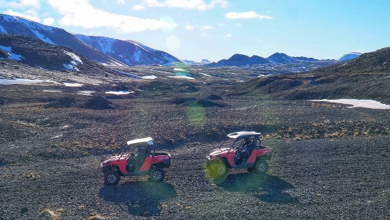 Ab Reykjavik: Buggy- & Walbeobachtungs-Abenteuer