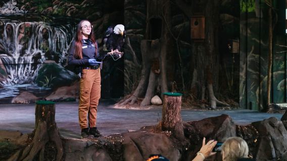 Pigeon Forge: Dollywood Theme Park Entry Ticket