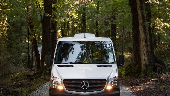 From Queenstown: Glenorchy and Paradise Scenic Half-Day Tour