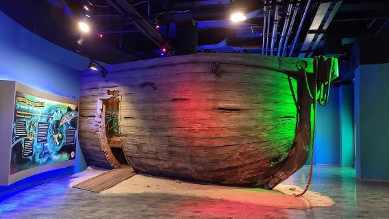 Istanbul: Aquarium-Ticket und Hin- und Rücktransfer ab Taksim