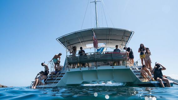 Nelson Bay: Marine Discovery Cruise with Snorkeling