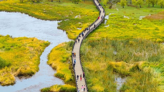 瀘沽湖環湖包車一日遊:草海+走婚橋+情人灘+裡格島+瀘源崖