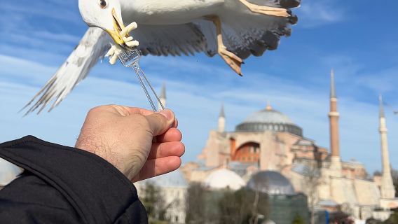 ISTANBUL BEST: Iconic Landmarks Full Day Private Guided City Tour