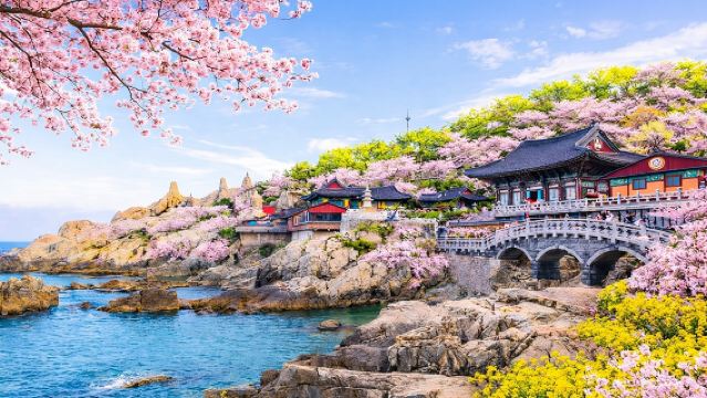 Tour autentico di un giorno intero dei punti salienti della città di Busan