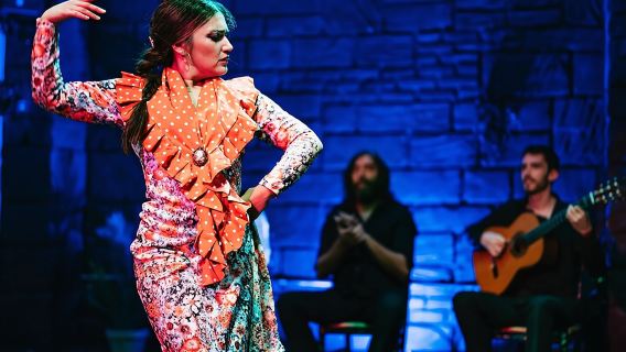 Baraka Triana. Flamenco show with drink