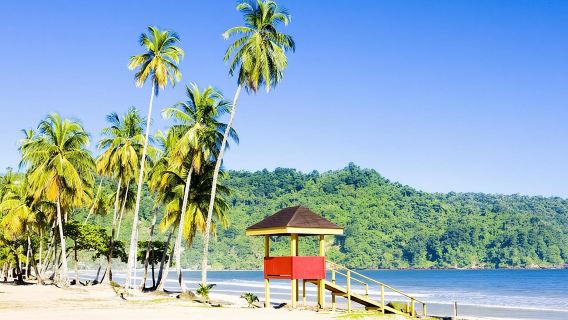 Lo más destacado de Trinidad y recorrido panorámico en coche