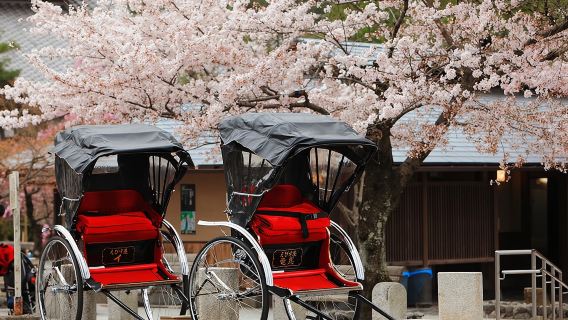 KyotoTour with Carpool