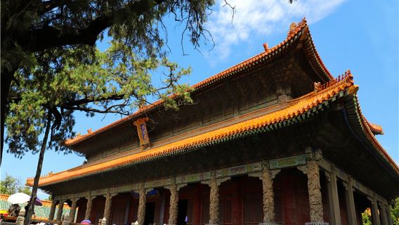 三孔景區+尼山聖境景區【導覽深度】