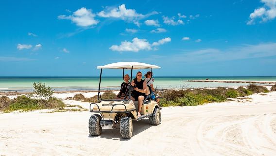 Holbox Island Boat and Buggy Tour from Chiquila