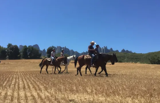 巴塞隆拿出發的蒙特塞拉特國家公園騎馬之旅