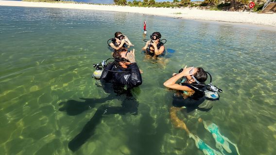 Panama City Scuba Diving Activity for Beginners
